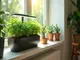 dein-gruener-daumen-fuer-zu-hause-smart-garden-indoor-planter-erklaert