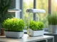im-vergleich-smart-garden-vs-aerogarden-die-vor-und-nachteile