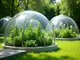 smart-garden-domes-die-innovative-loesung-fuer-wetterunabhaengiges-gaertnern