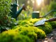 smart-garden-jumbo-sphagnum-moss-der-geheimtipp-fuer-gesunde-pflanzen-im-eigenen-garten