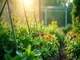 smart-garden-netting-intelligenter-schutz-fuer-deine-pflanzen