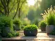 so-verbessert-smart-garden-new-zealand-sphagnum-moss-deine-pflanzenpflege
